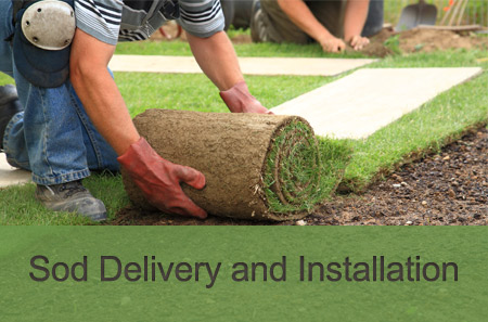 curb appeal | CurbPro | Landscape Installation 